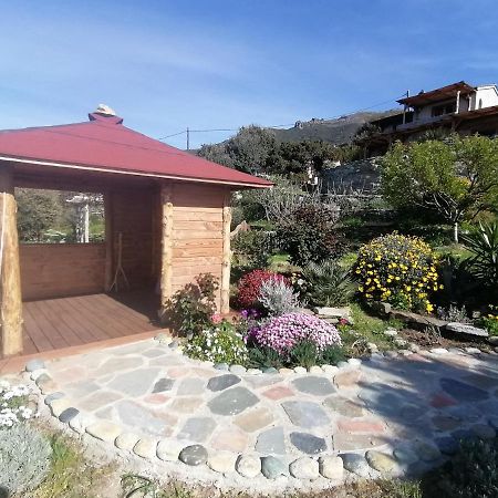 Logement De Charme Avec Piscine Privative Pino Esterno foto