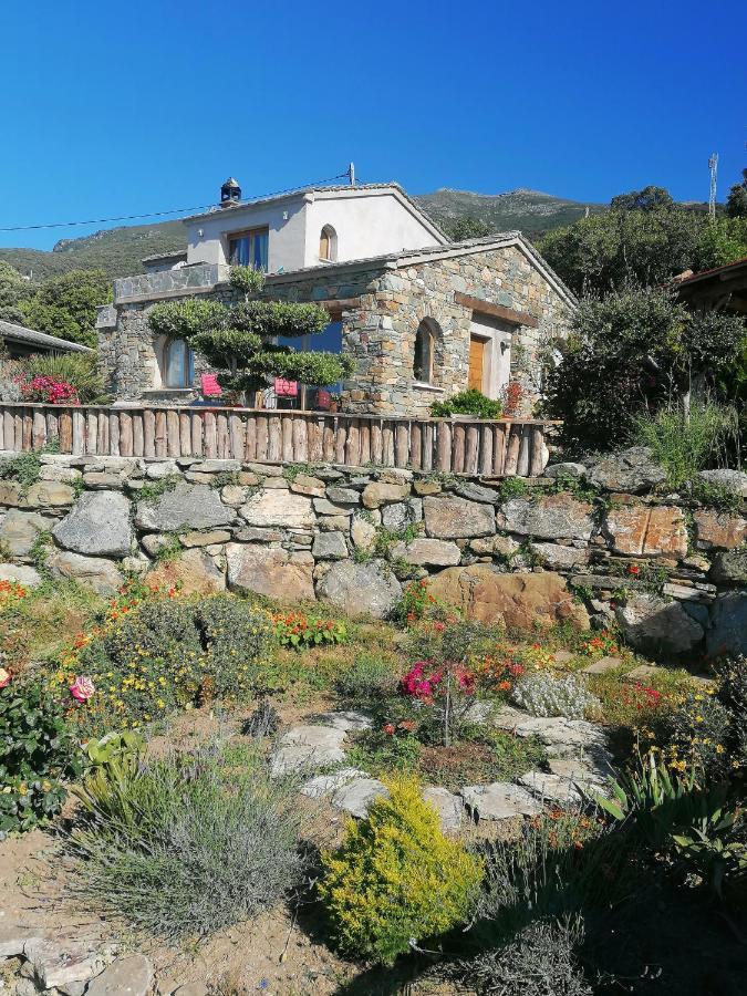 Logement De Charme Avec Piscine Privative Pino Esterno foto