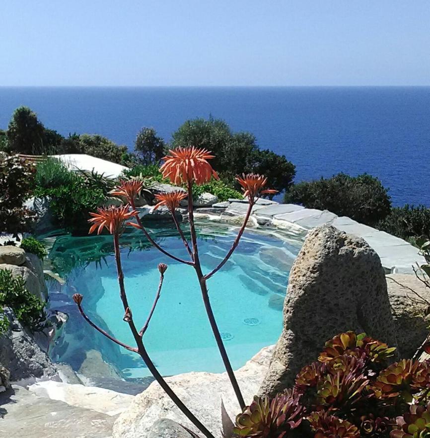 Logement De Charme Avec Piscine Privative Pino Esterno foto