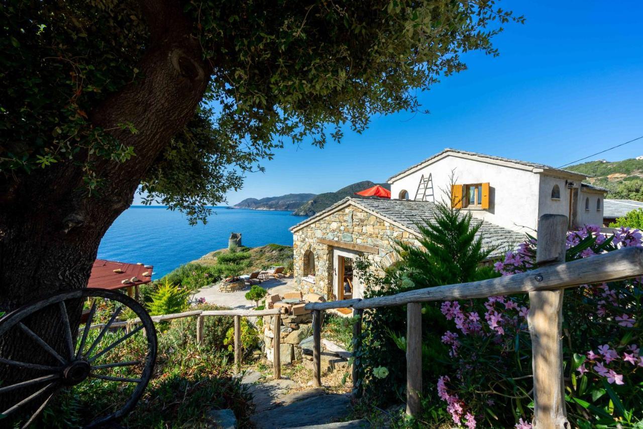 Logement De Charme Avec Piscine Privative Pino Esterno foto