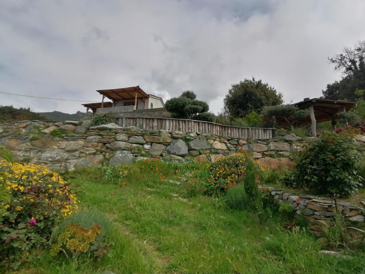 Logement De Charme Avec Piscine Privative Pino Esterno foto