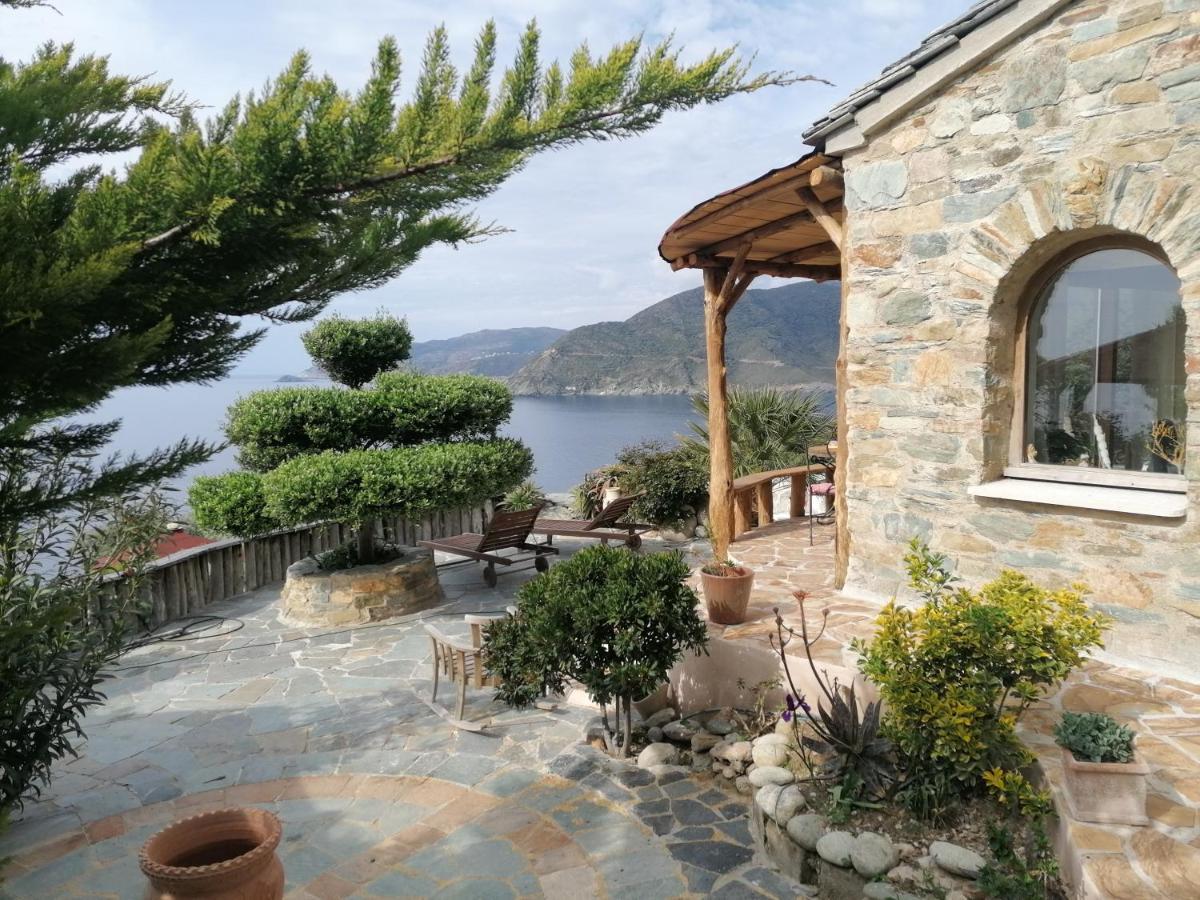 Logement De Charme Avec Piscine Privative Pino Esterno foto