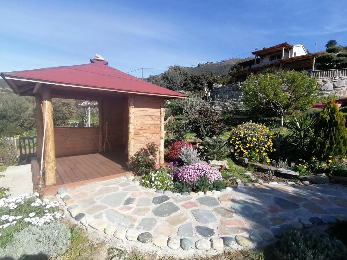 Logement De Charme Avec Piscine Privative Pino Esterno foto