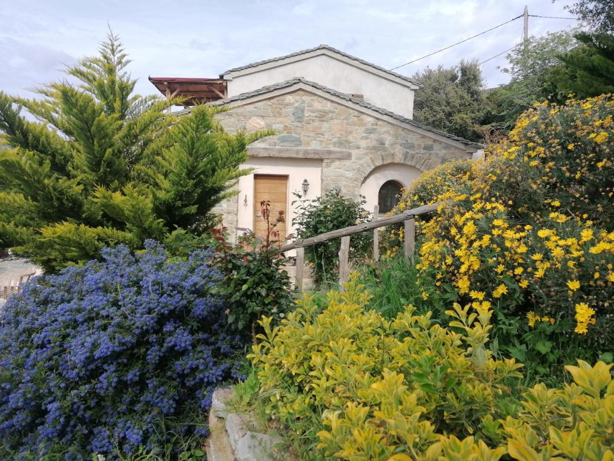 Logement De Charme Avec Piscine Privative Pino Esterno foto