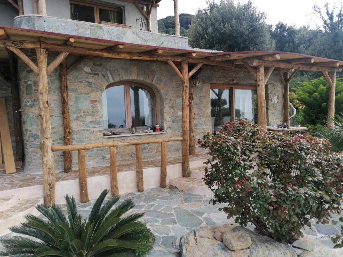 Logement De Charme Avec Piscine Privative Pino Esterno foto